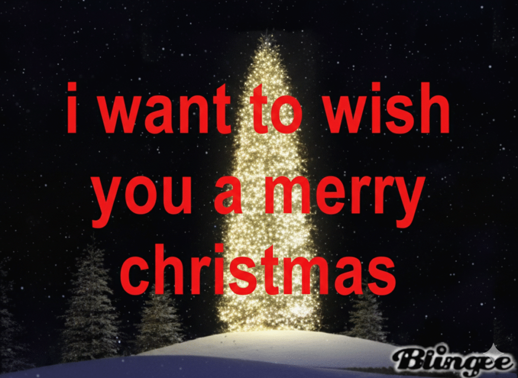 i want to wish you a merry christmas song
